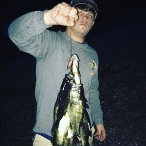 Meet your Posher, Ashton